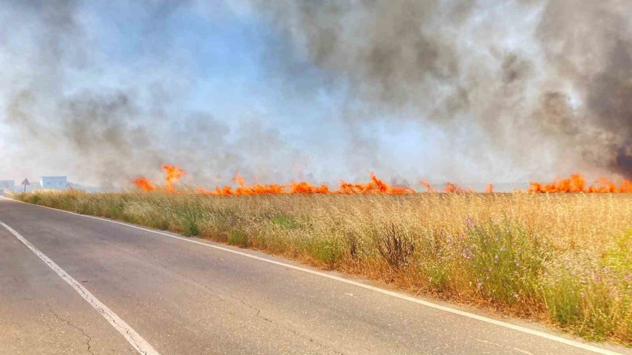 Tekirdağ’da 250 dönüm buğday yandı