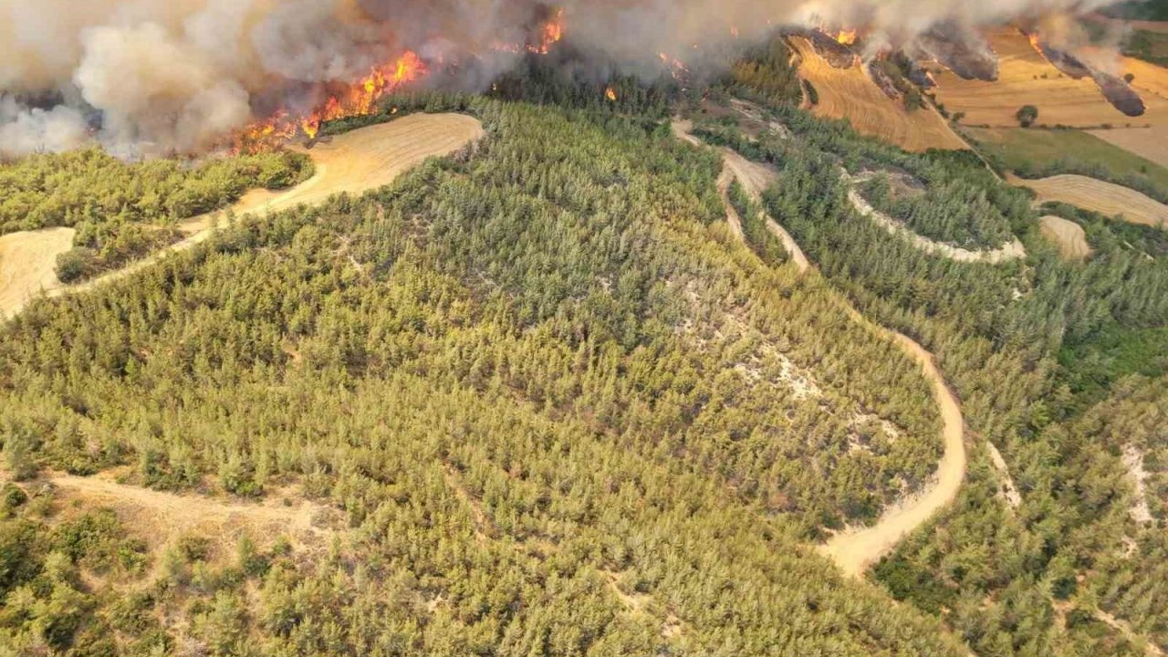 Adana’daki orman yangınına 12 helikopter ve 2 uçakla havadan müdahale