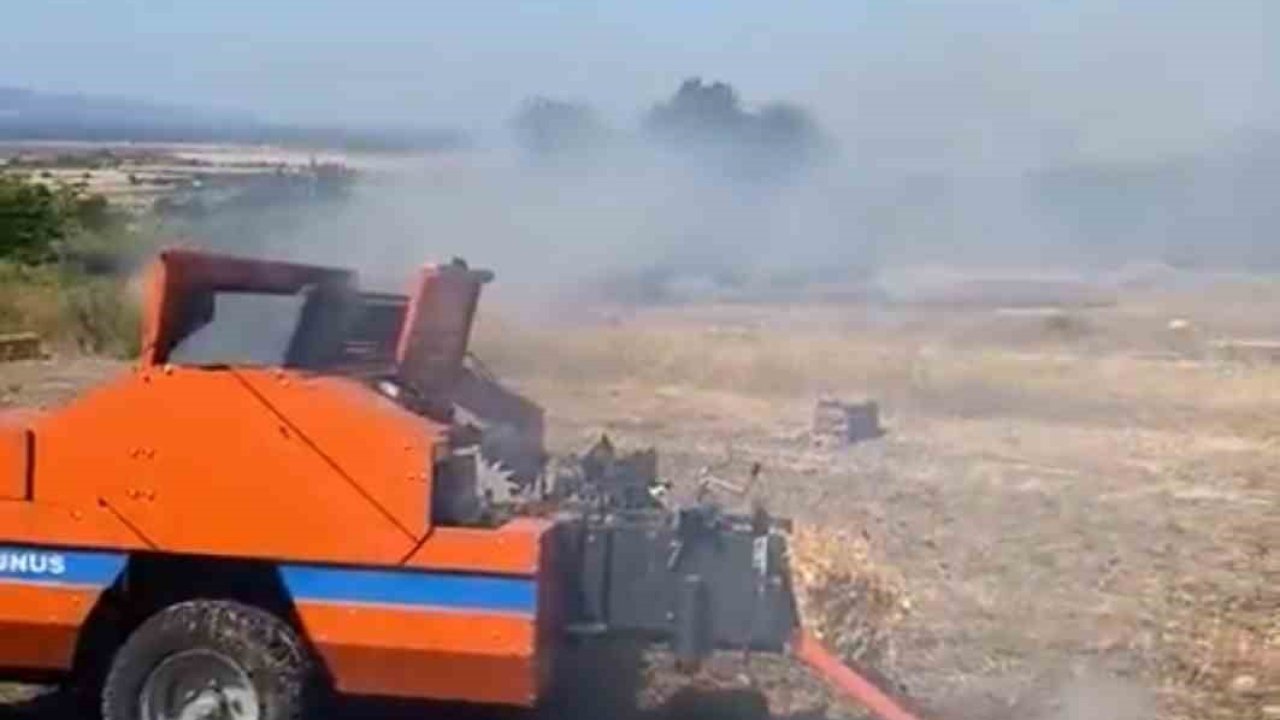 Tarım arazisinde başlayıp ormana sıçrayan yangının çıkış sebebi belirlendi