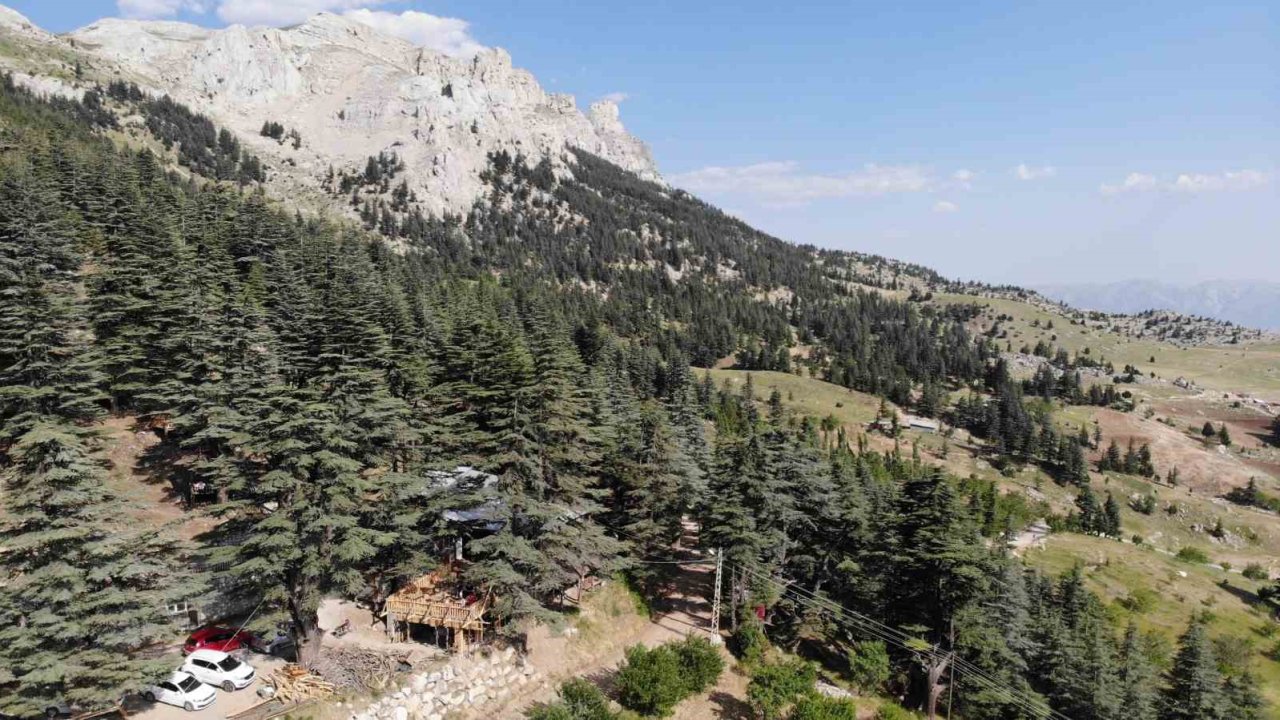Sıcaklardan kaçanların adresi, Ilıca’nın yeşil kalbi: Halimin Gölü