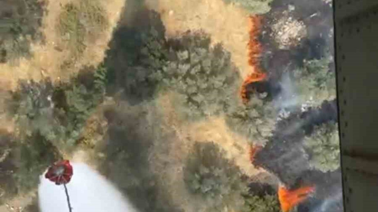 Ayvalık’ta zeytinlik alanda yangın