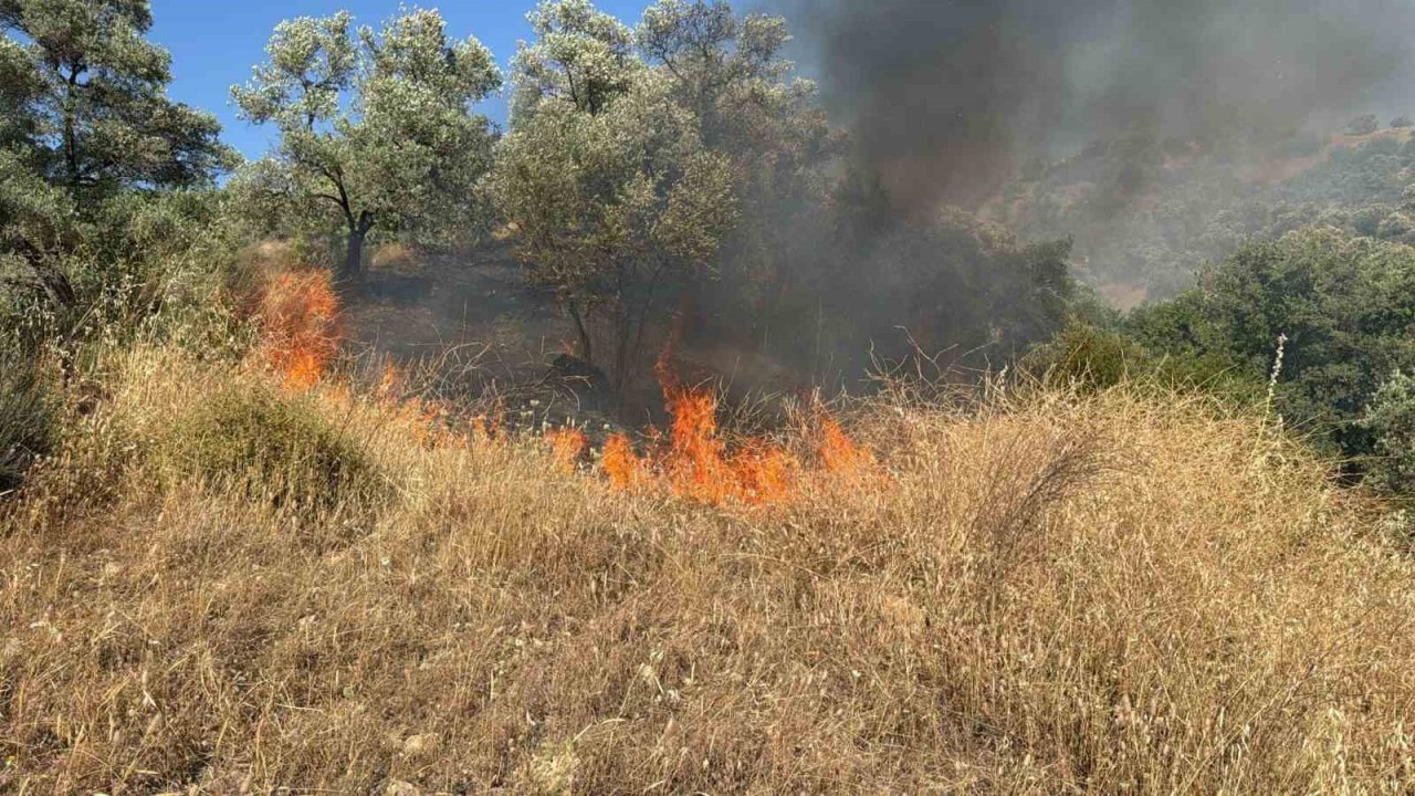 Aydın’da zirai alanda yangın çıktı