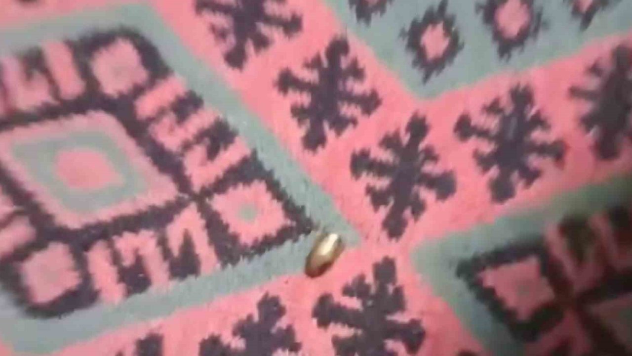 Adana’da yorgun mermi, ailenin oturduğu çardağa isabet etti