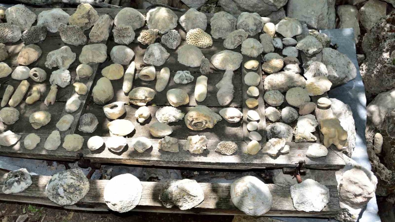 Mersin Mut’ta fosil araştırması