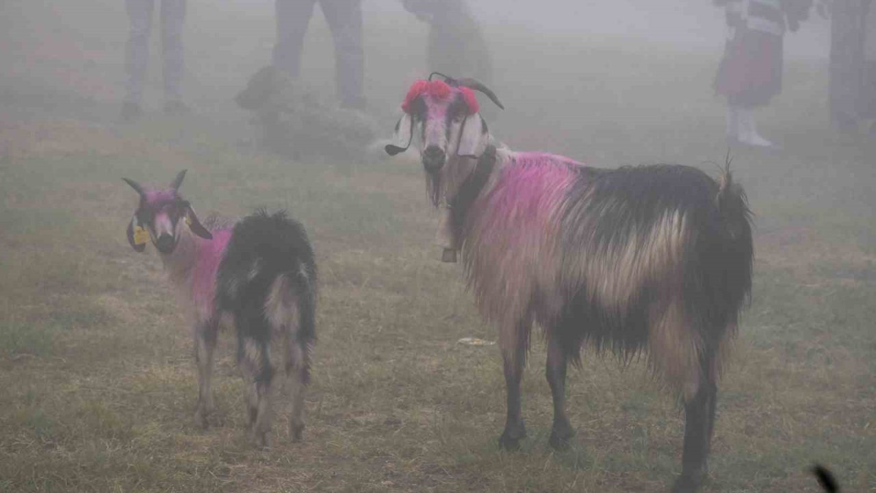 118 yıldır devam eden gelenek: Gelin gibi süslenen hayvanları ile göçe başladılar
