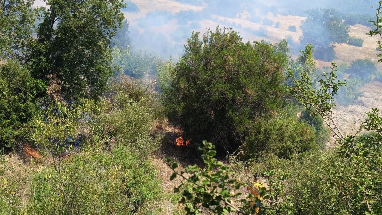 Antalya’da ormanı tehdit eden yangın kontrol altına alındı