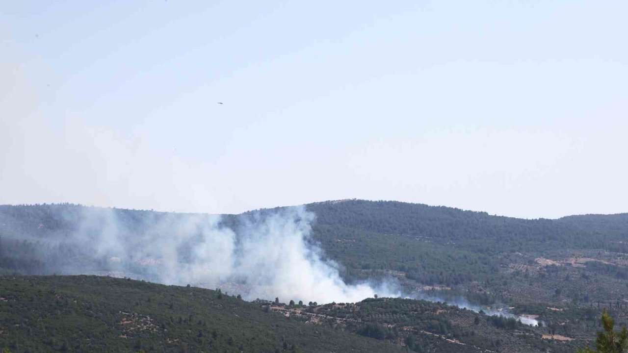 Menteşe’de orman yangını başladı