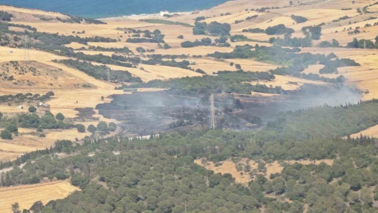 Çanakkale’de tarım arazisinde başlayıp ormana sıçrayan yangın kontrol altına alındı