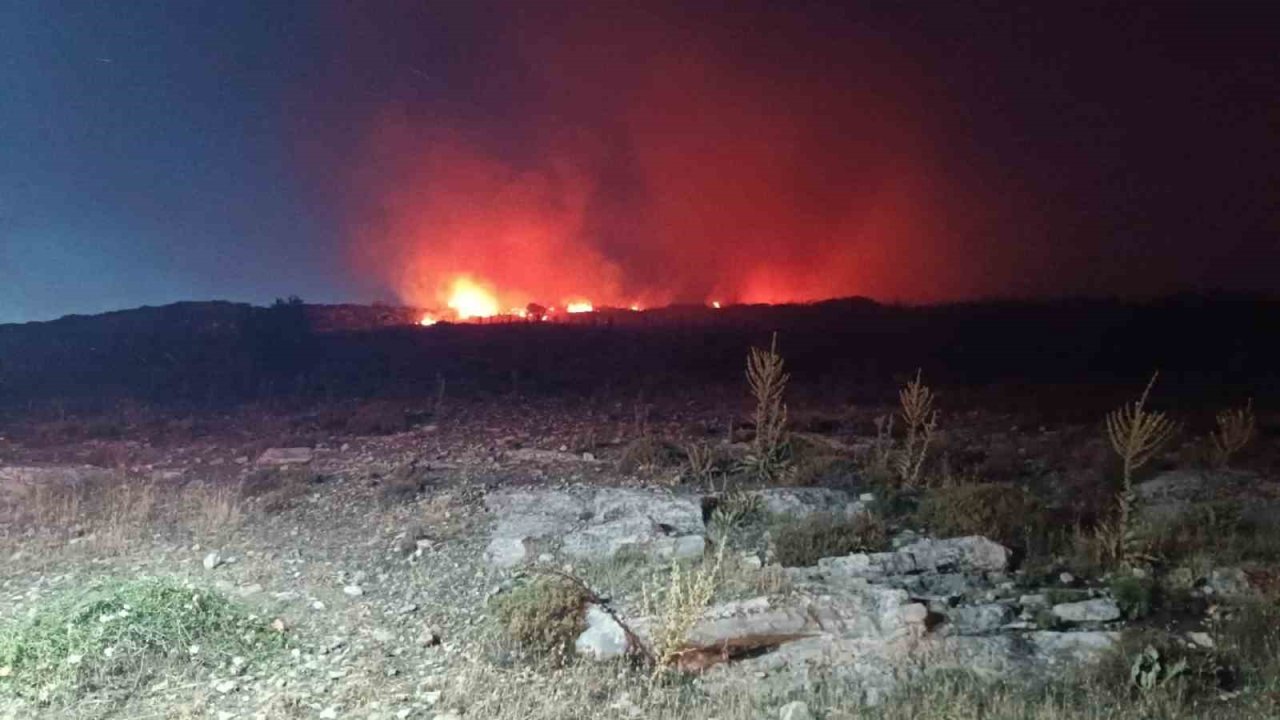 Menemen’de makilik alanda yangın