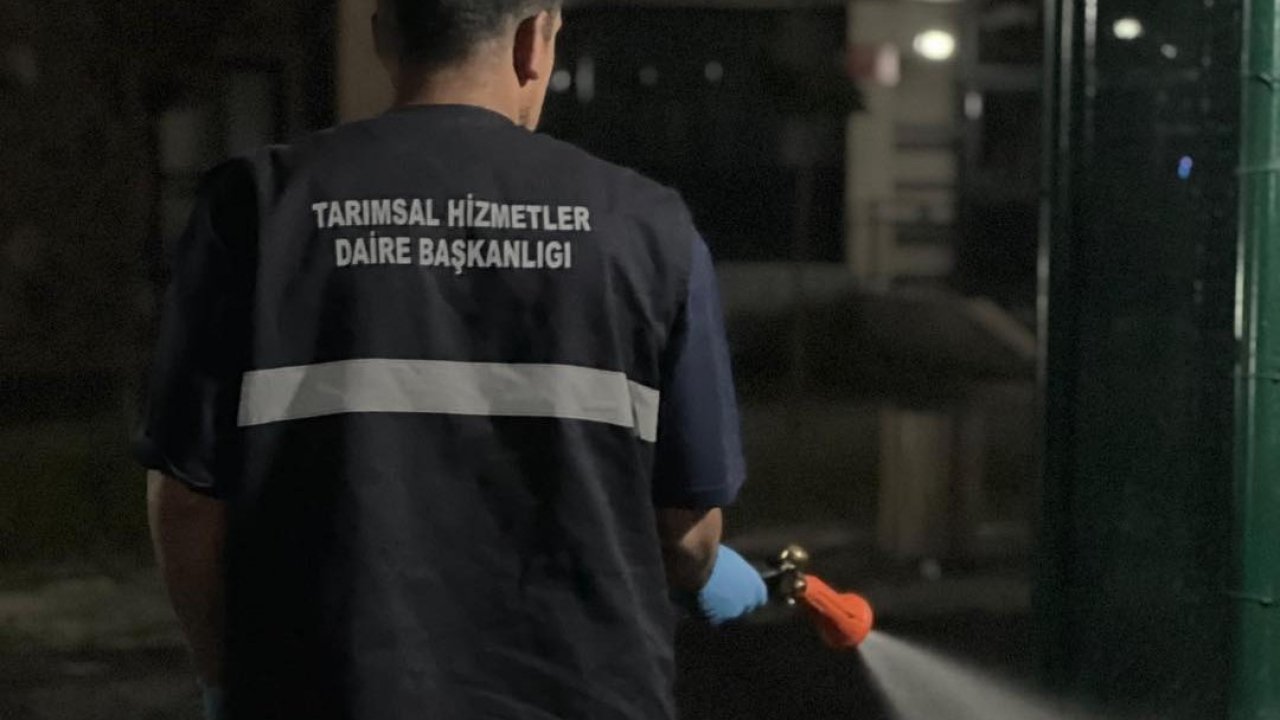 Büyükşehir’den ilaçlama atağı