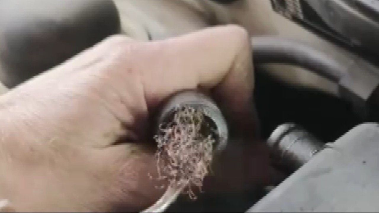 Pes dedirten görüntü: Otomobilin motorundan bulaşık teli çıktı