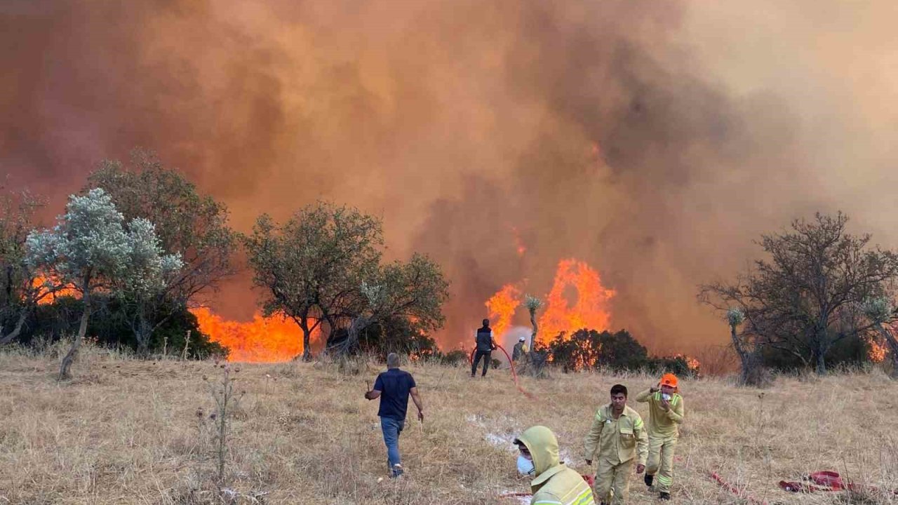 Aydın’da hafta sonu 11 yangın çıktı