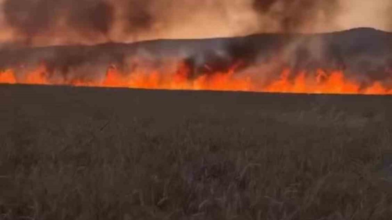 Diyarbakır’da buğday tarlasında anız yangını