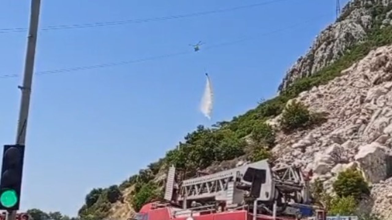 Antalya’da ormanlık alanda yangın