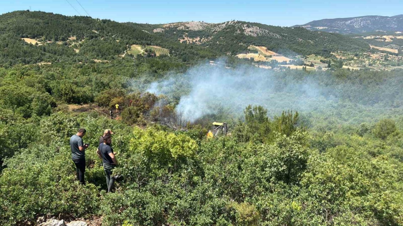 Enerji nakil hattından çıkan orman yangını kontrol altına alındı