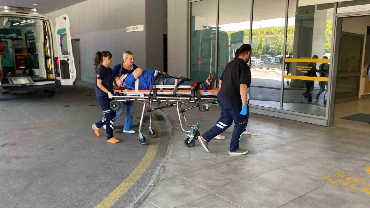 Otomobil ağaca çarptı, yaşlı çift yaralandı