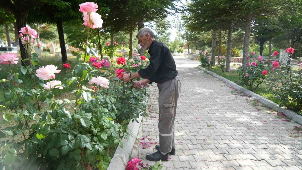Rüyayla başladı, hayatının görevi oldu: 19 yıldır karşılıksız mezarlık bakımı yapıyor