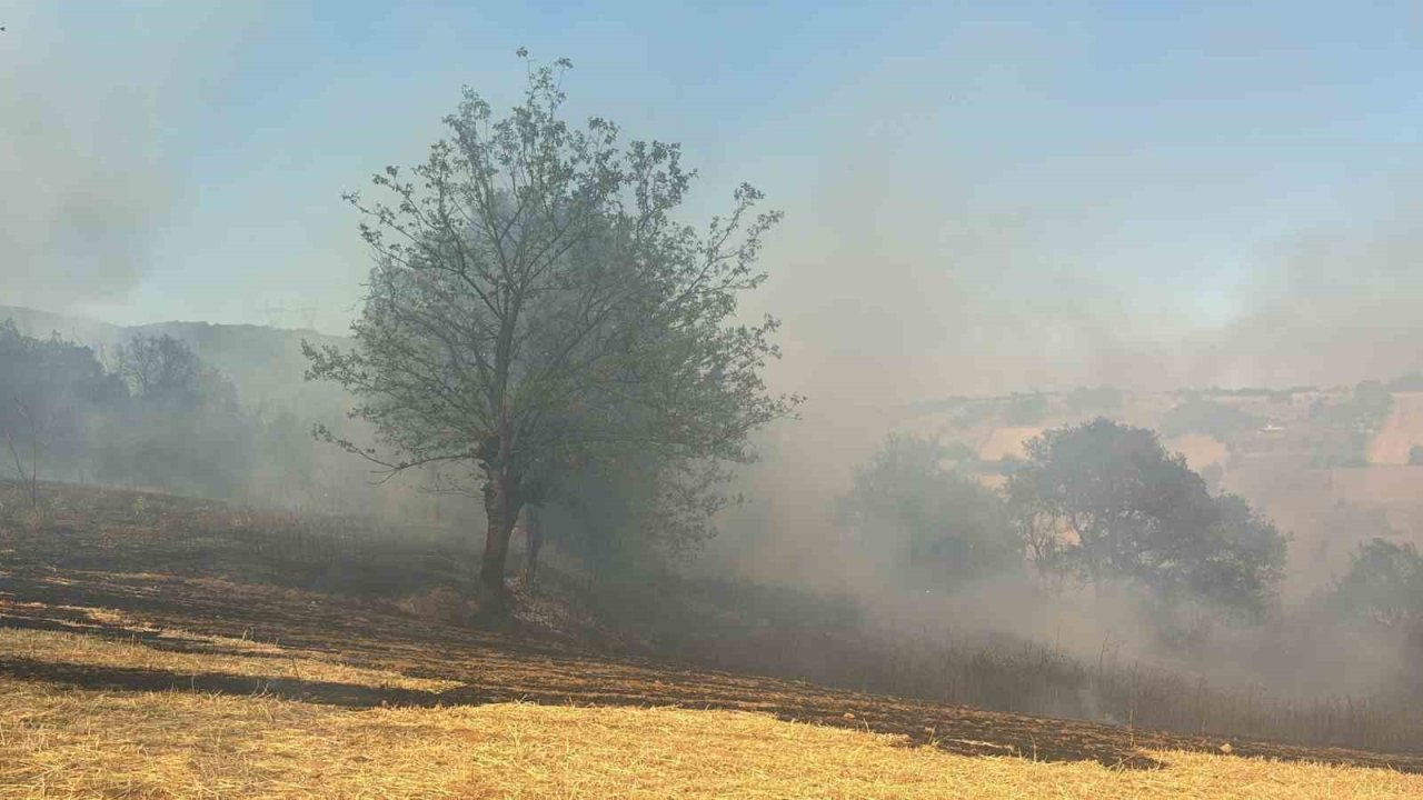 Kestel’deki orman yangını