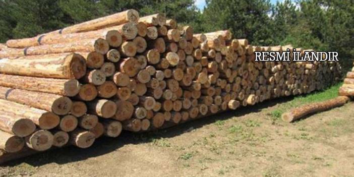 Orman Emvali İstifleme Hizmeti Alınacaktır