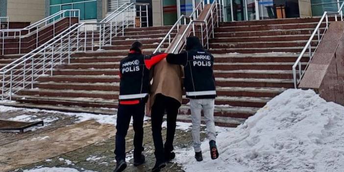 Kars’ta uyuşturucu operasyonu: 6 kilo bonzai üretimi engellendi