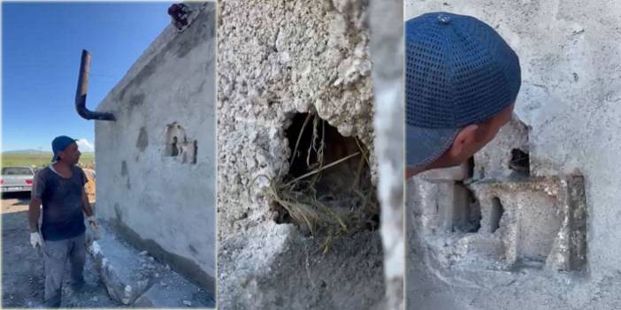 Kars’ta sıva altından gelen ses hayat kurtardı: Usta duvarı kırıp kuş yavrularını kurtardı
