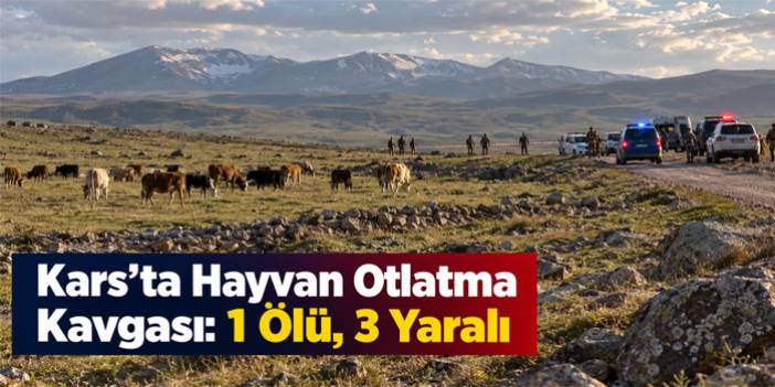 Kars’ta Hayvan Otlatma Kavgası: 1 Ölü, 3 Yaralı
