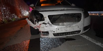 Gümüşhane’de otomobilin çarptığı ayı telef oldu