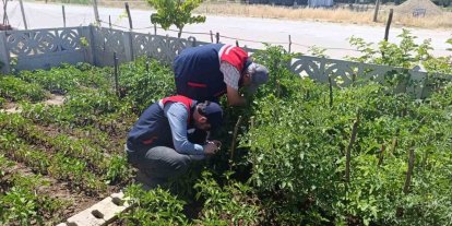 Küçük ölçekli üreticilere destek veriyor