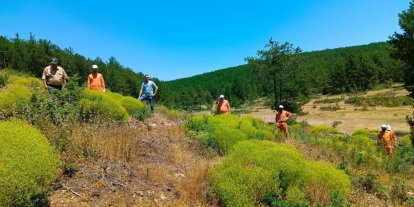 Kütahya’da 34 hükümlü ormanlara katkı sunacak