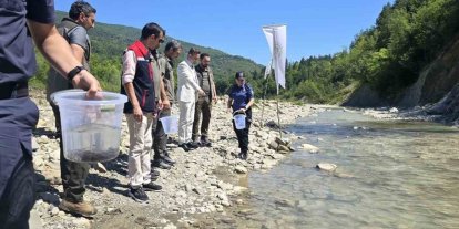 Sinop’ta derelere kırmızı benekli alabalık takviyesi