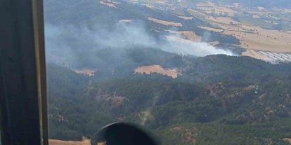 Bolu’da orman yangını