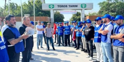 Toros Tarım işçileri 56 gündür grevde