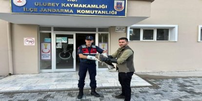 Yaralı şahinin imdadına jandarma yetişti
