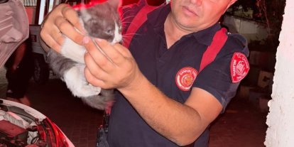Otomobilin motor kısmına girerek sıkışan yavru kedi ekipleri seferber etti