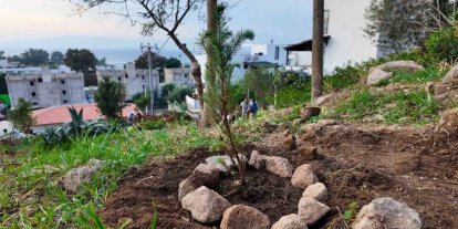 Bodrum Belediyesi çocukları doğayla buluşturdu
