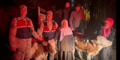 Jandarma çalınan hayvanları sahibine teslim etti
