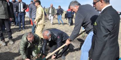 Vali Polat, gazetecilerle fidan dikti