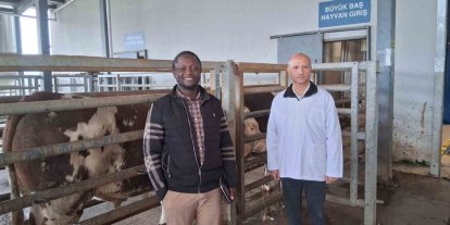 Kocaeli’deki mezbaha tesisi İslam ülkelerine örnek gösterildi