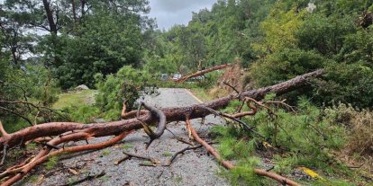 Menteşe Akbük’te şiddetli yağış ve rüzgar etkili oldu