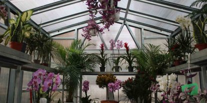 "Çiçek Doktoru" Ersan: "İnsanlar bitkileriyle ilgili yaşamış oldukları sorunları bana iletiyor, ben de onlara çözümler üretiyorum"