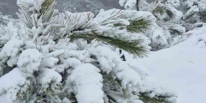 Muğla’ya mevsimin ilk karı yağdı