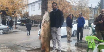 Elazığ’da 60 kiloluk turna balığı yakalandı
