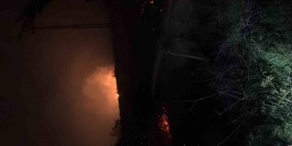 Hatay’da çıkan  otluk yangını söndürüldü