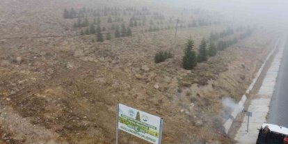 Yahyalı’ya bin 200 fidan dikildi