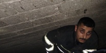 Havalandırma boşluğuna düşen yavru kediyi itfaiye kurtardı