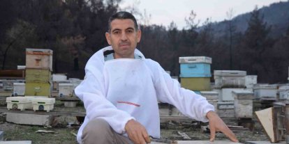 Ana arı üretiminde büyük başarı: Bir arı kovanıyla hobi olarak başladı, şimdi Türkiye’nin her yerine koloni gönderiyor