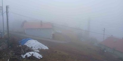 Posof’ta yoğun sis etkiliyor oluyor