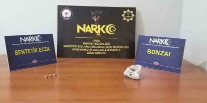 Ordu’da uyuşturucu operasyonlarında 2 tutuklama