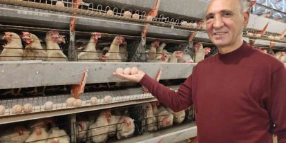 Simav’ın Kuşu beldesinde günlük 15 bin yumurta üretimi