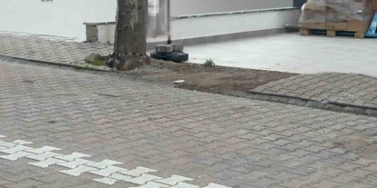 Çöpe atmak için yerden aldığı kargo poşetinin içinden 60 bin dolar çıktı